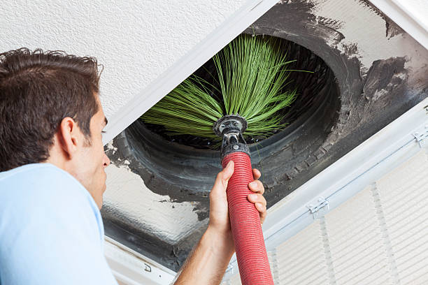 Air Duct Mold Removal in Harbor, OR